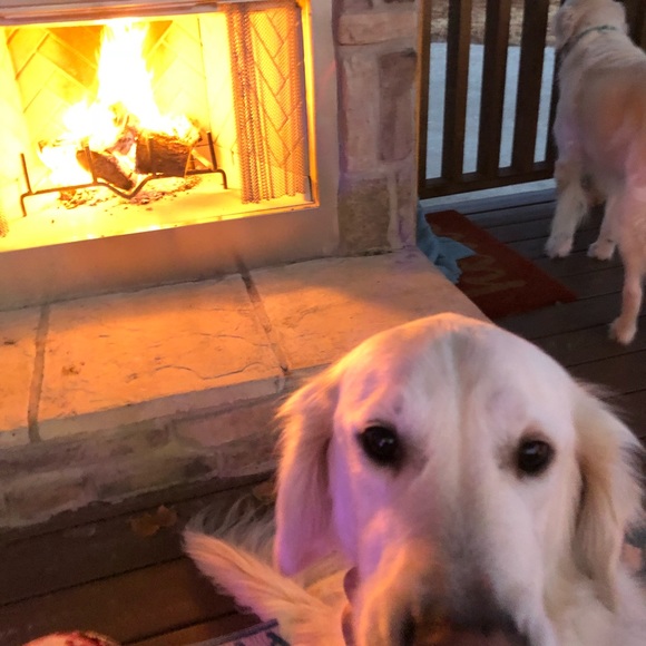 Meet your Posher, Mary - Picture 2 of 2